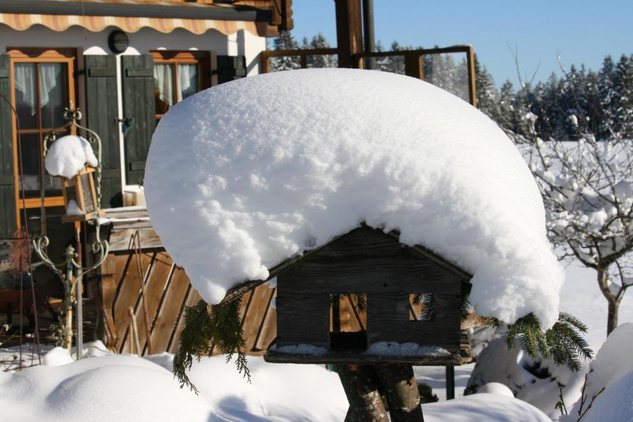 Haus Allgaeu Ruh Görisried Exterior foto