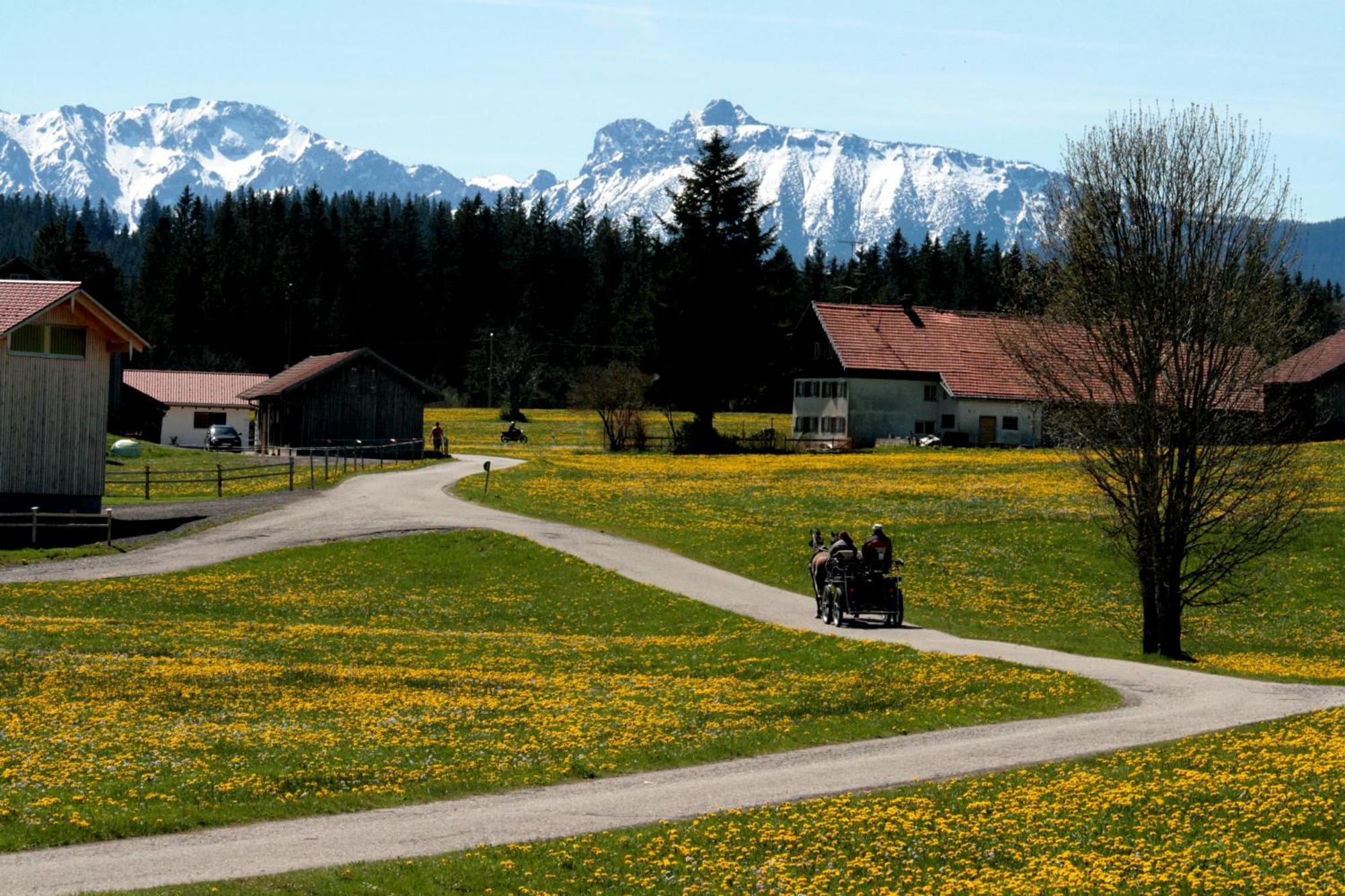 Haus Allgaeu Ruh Görisried Quarto foto